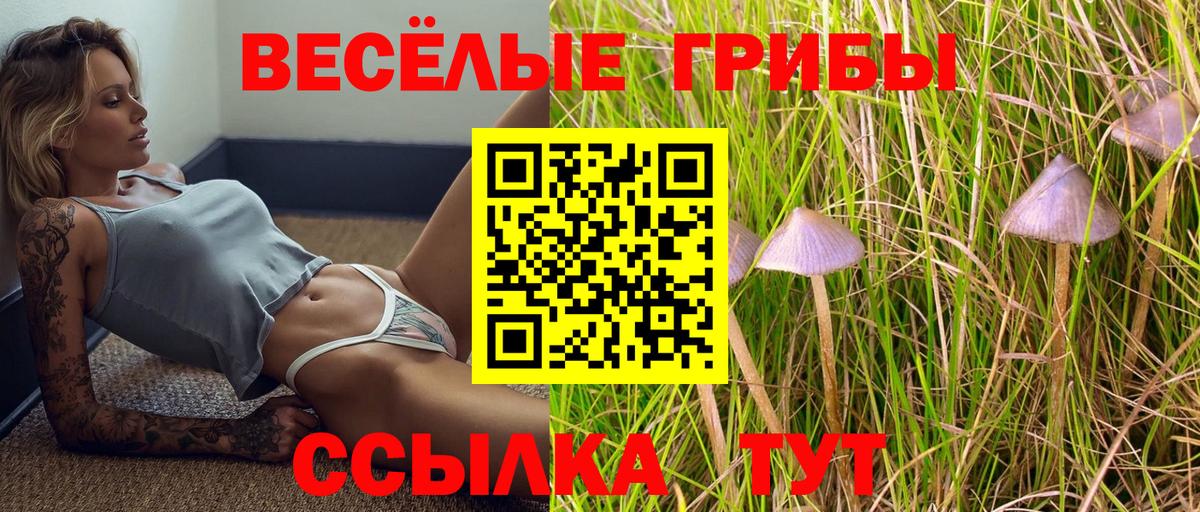 Улан-Удэ  Псилоцибиновые грибы GOLDEN TEACHER  Вход с VPN 